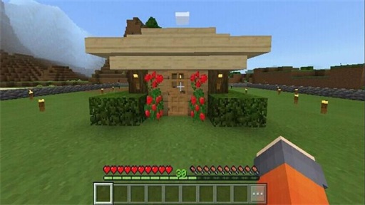 Craftsman: Building Craft